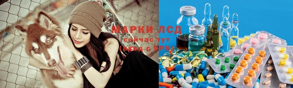 эйфоретик Каменногорск