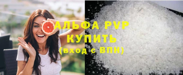 индика Зеленодольск