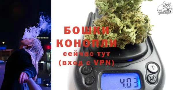 MESCALINE Каменка