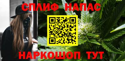 МДПВ Будённовск