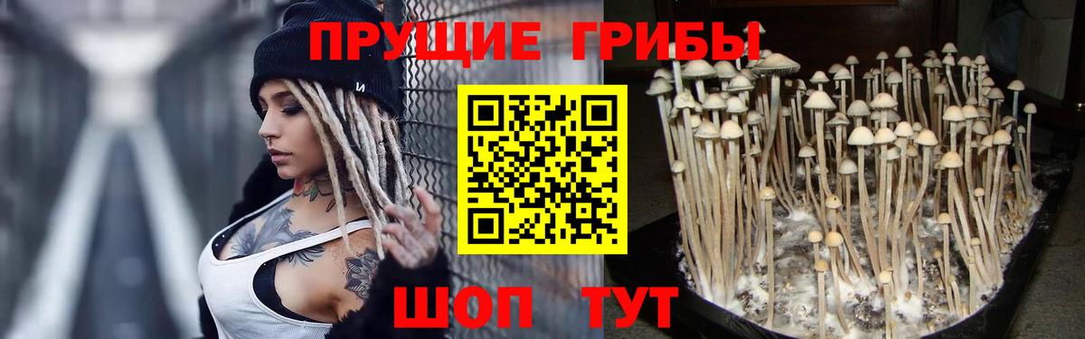Галлюциногенные грибы Magic Shrooms Мелеуз